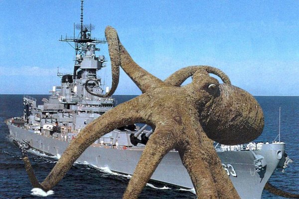 Kraken даркнет переходник